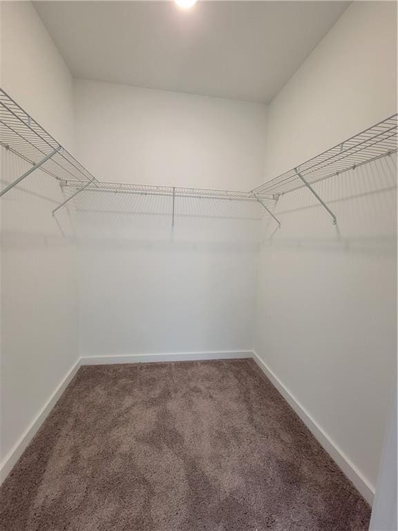 525 Parkway Dr NE Unit 306, Atlanta, GA 30308 - spacious closet with carpet floors