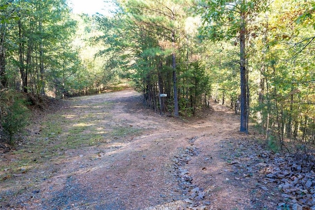 view of local wilderness