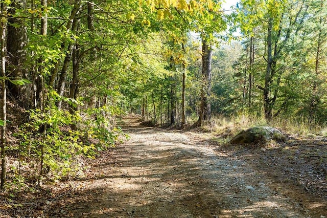 view of local wilderness