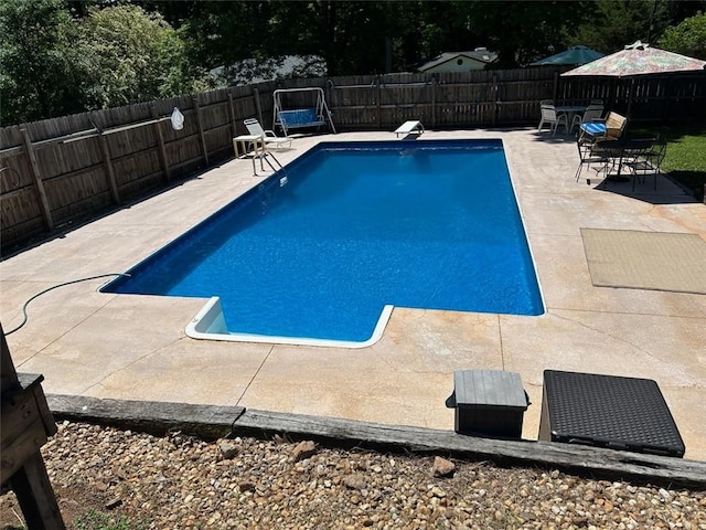 view of swimming pool with a diving board and a patio