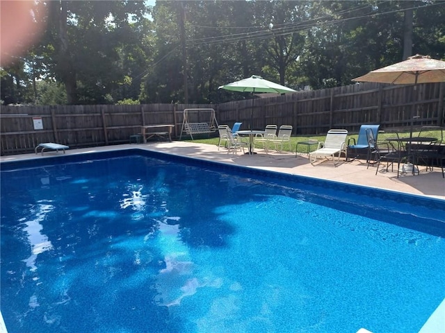 view of pool featuring a patio area and a diving board