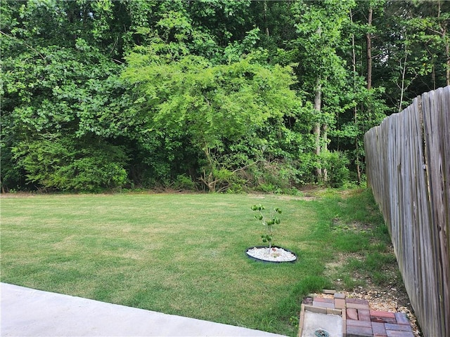3473 Newtons Crest Cir, Snellville, GA 30078 - view of yard