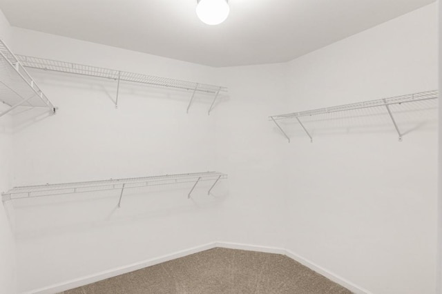 spacious closet with carpet flooring