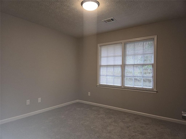 spare room with a textured ceiling, a wealth of natural light, and carpet flooring