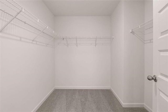 spacious closet with carpet floors