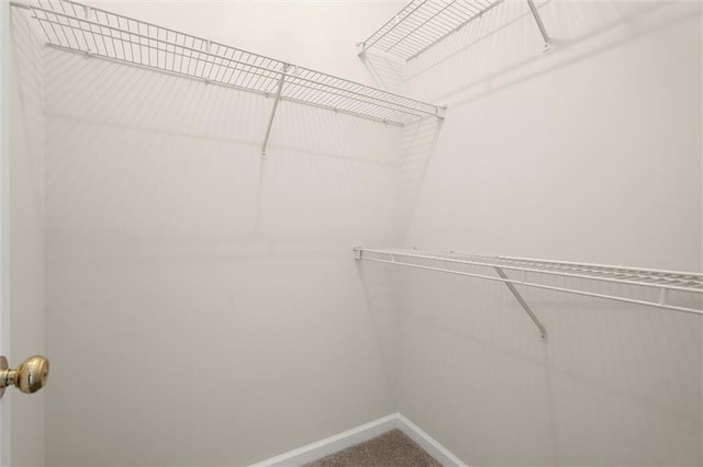 1024 Whitshire Way, Alpharetta, GA 30004 - view of walk in closet