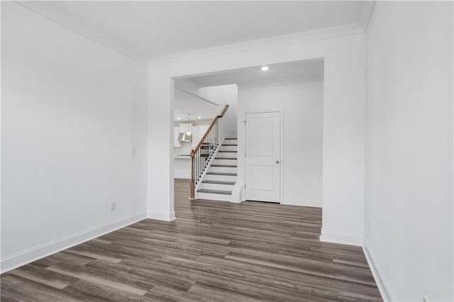 interior space featuring ornamental molding and dark hardwood / wood-style floors