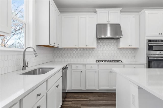 1495 Auburn Glen Rd, Dacula, GA 30019 - kitchen with under cabinet range hood, a sink, appliances with stainless steel finishes, and white cabinetry