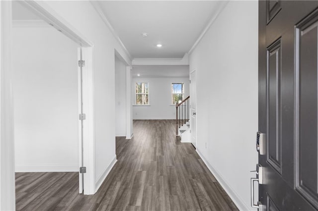 hallway with ornamental molding and dark wood-type flooring