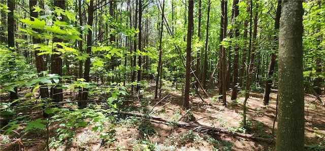 8225 Rivertown Rd, Fairburn, GA 30213