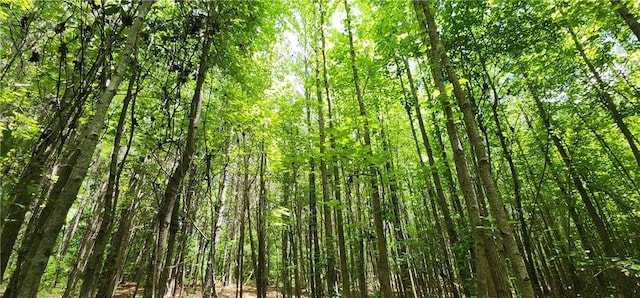 8225 Rivertown Rd, Fairburn, GA 30213