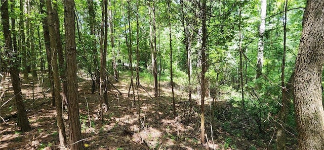 8225 Rivertown Rd, Fairburn, GA 30213