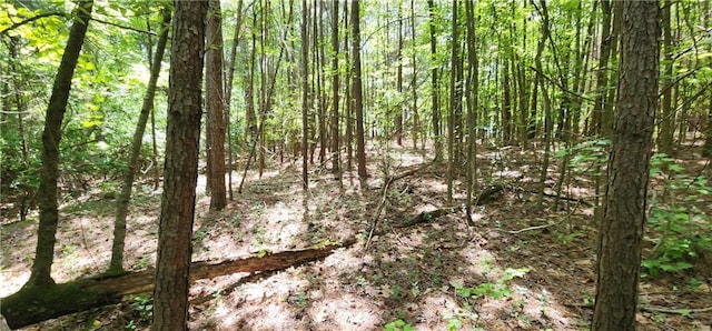 8225 Rivertown Rd, Fairburn, GA 30213