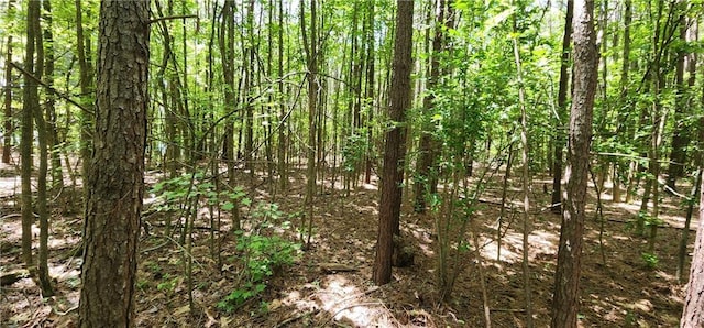 8225 Rivertown Rd, Fairburn, GA 30213