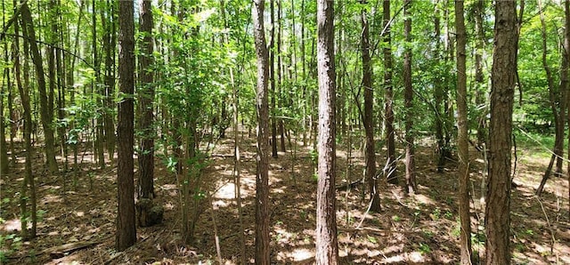 8225 Rivertown Rd, Fairburn, GA 30213