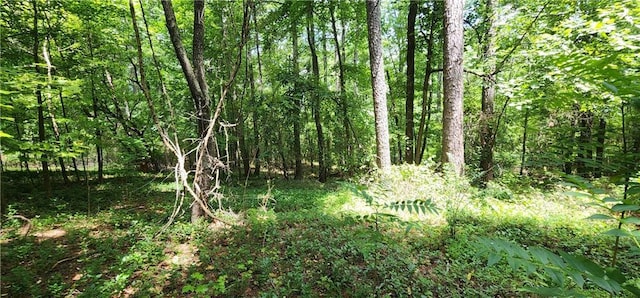 8225 Rivertown Rd, Fairburn, GA 30213