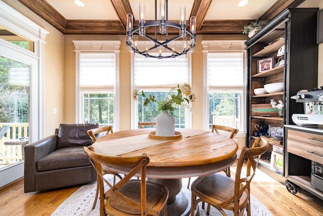 dining space with light hardwood / wood-style floors, a healthy amount of sunlight, and a chandelier