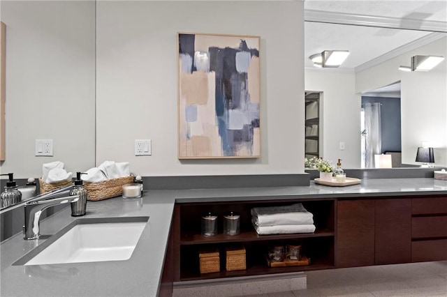 bathroom featuring ornamental molding and sink