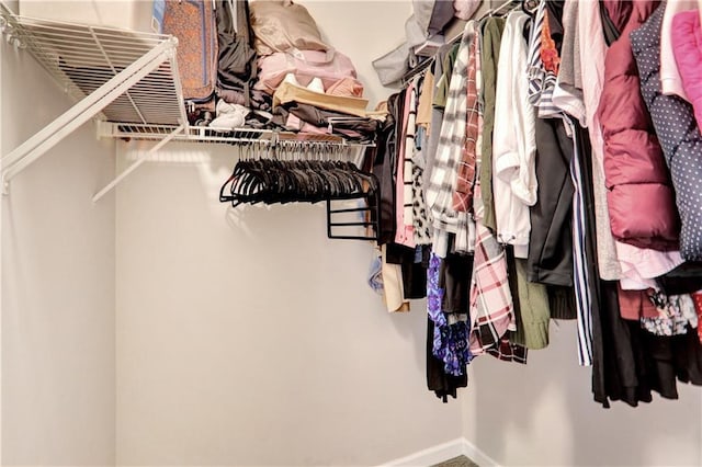 view of spacious closet