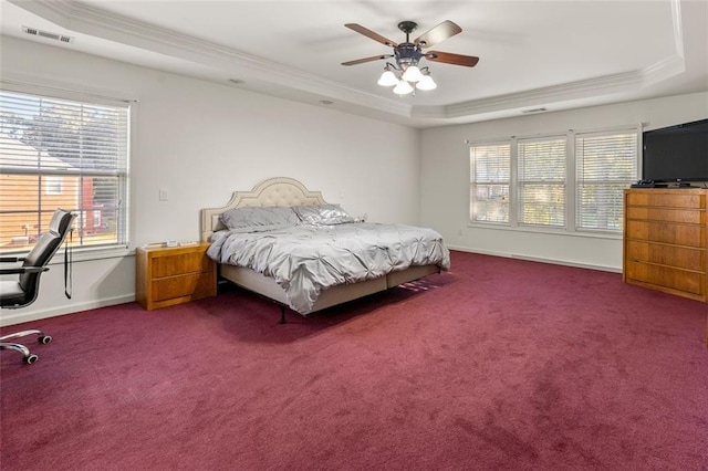 bedroom featuring multiple windows, carpet flooring, a tray ceiling, and ceiling fan