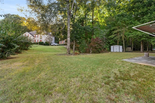 view of yard featuring a shed and a patio