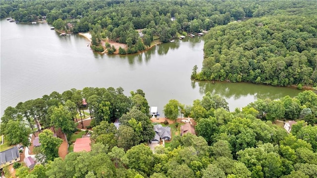 aerial view with a water view and a view of trees