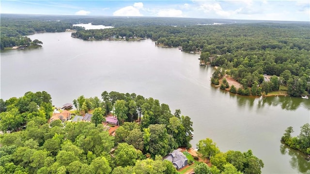 aerial view with a water view and a view of trees