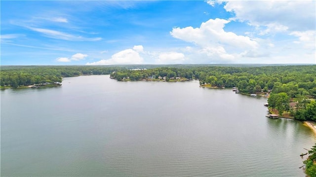 bird's eye view with a water view and a view of trees