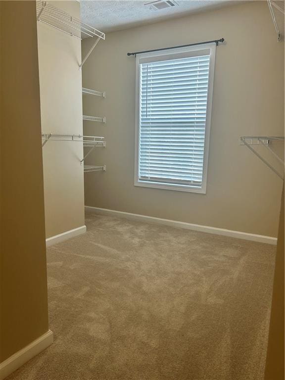 walk in closet with visible vents and carpet flooring