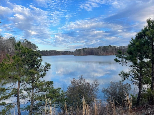 property view of water