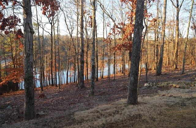 view of landscape