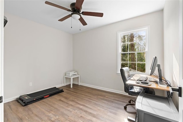 office area with ceiling fan and light hardwood / wood-style floors