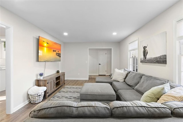 living room with hardwood / wood-style flooring