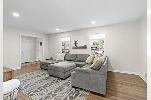 living room featuring dark wood-type flooring