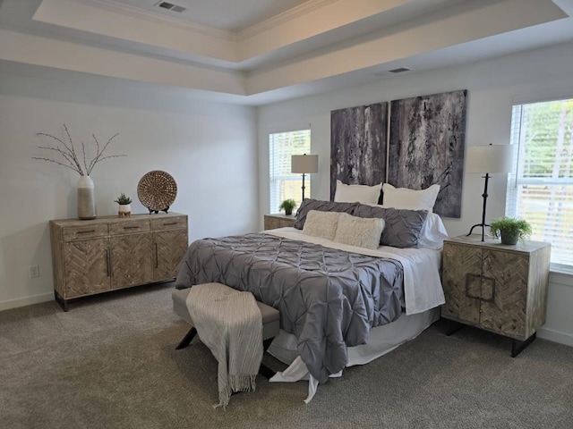 carpeted bedroom featuring a raised ceiling and multiple windows