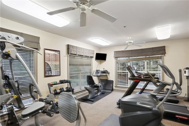 gym featuring carpet and ceiling fan