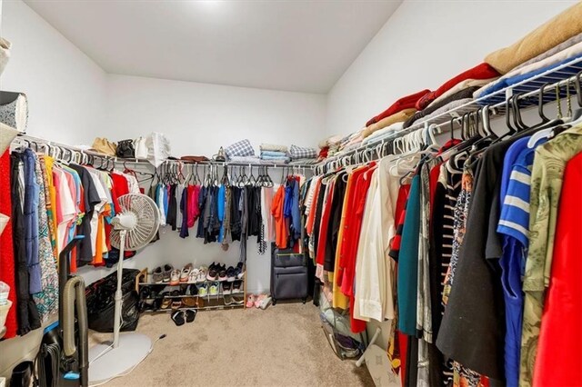 walk in closet with carpet floors