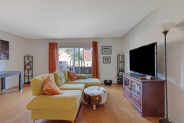 living room with light hardwood / wood-style floors