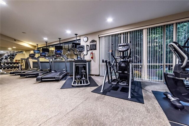 exercise room featuring carpet flooring