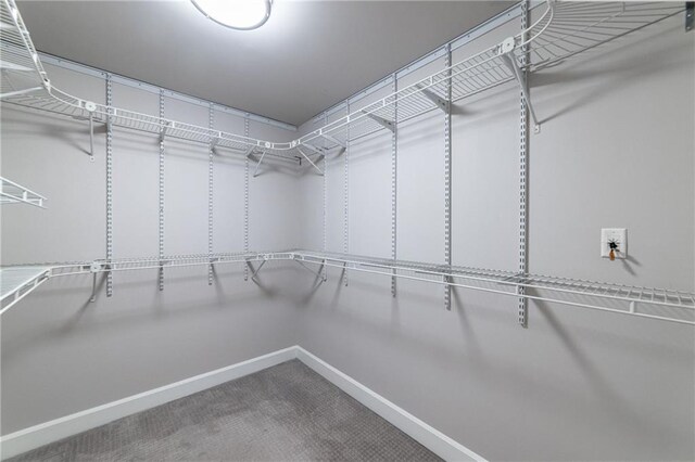 walk in closet featuring carpet flooring