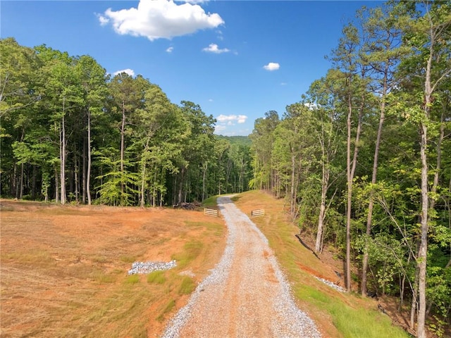0 Sperin Rd, Ball Ground, GA 30107