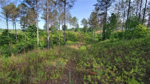 Listing photo 3 for LOT27 Hillside Ln, Ellijay GA 30540