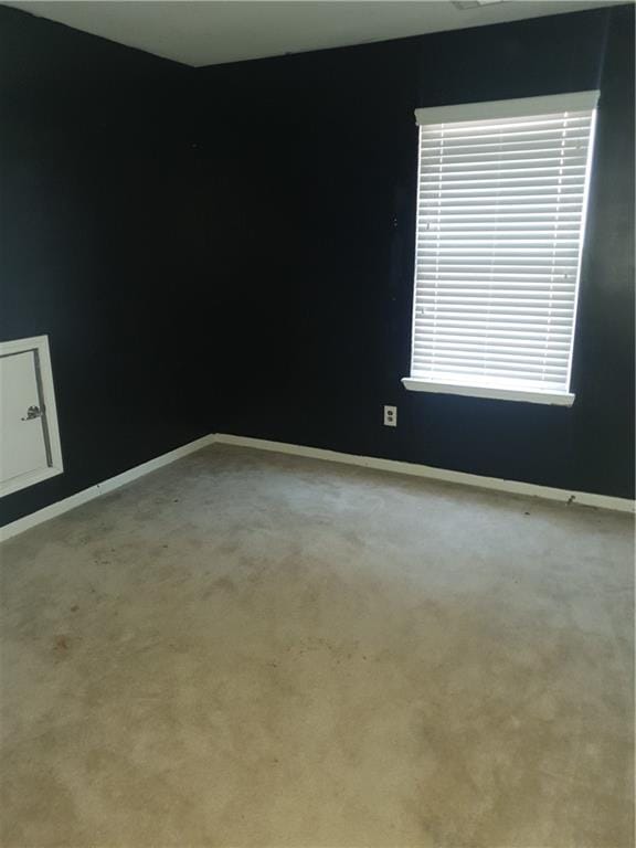 spare room with light carpet