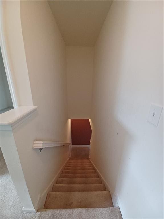 stairs with carpet floors