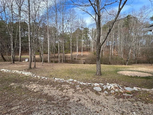 440 Colbert Rd, Dallas, GA 30132 - view of yard
