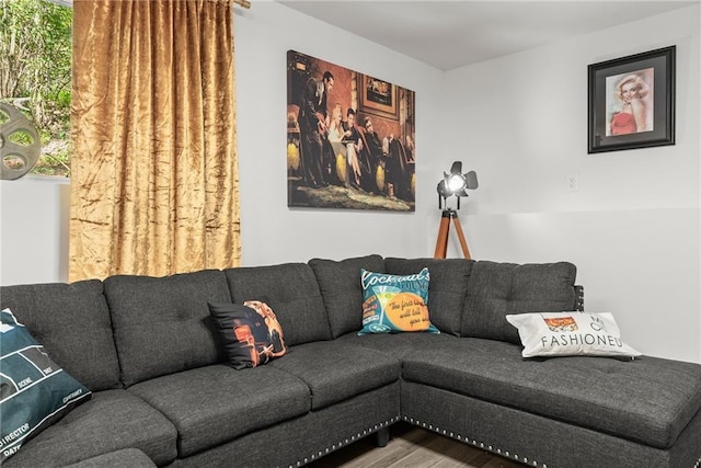 living room featuring wood finished floors