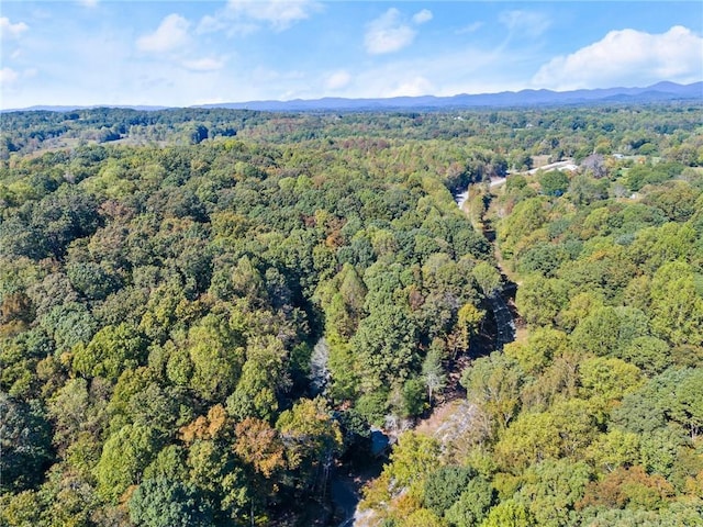 aerial view with a forest view and a mountain view