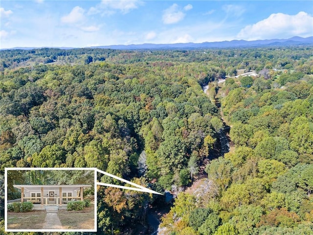 bird's eye view featuring a mountain view and a view of trees