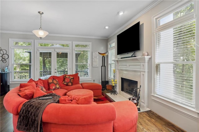 living room featuring light hardwood / wood-style floors, a healthy amount of sunlight, and a premium fireplace