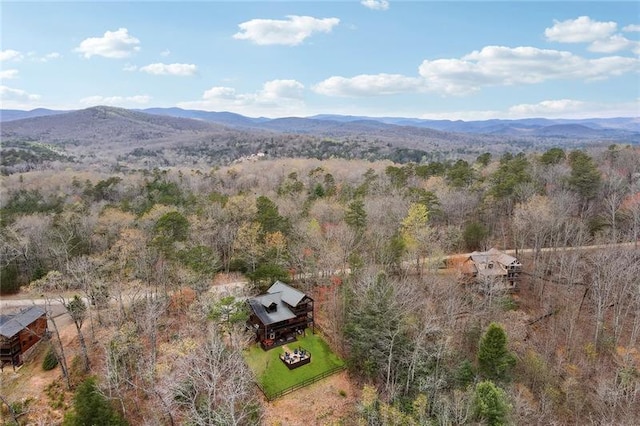 drone / aerial view featuring a mountain view